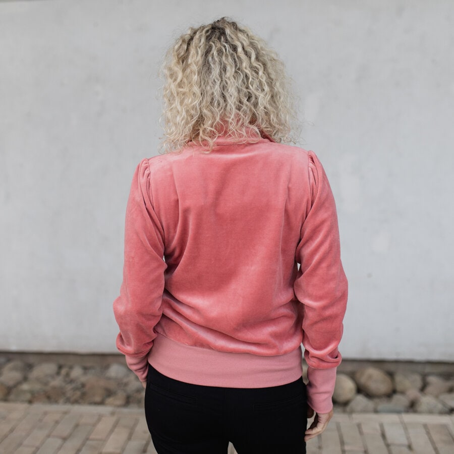 Wish velour jacket - velvet rose